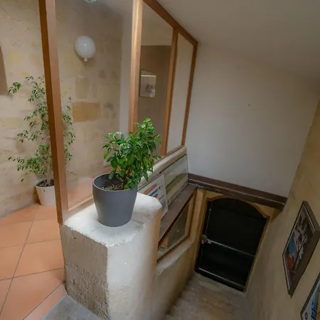 Spacious And Cozy Nest In The Heart Of Appartement